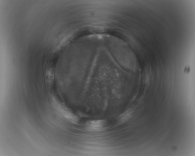 X0000112900134200909181945