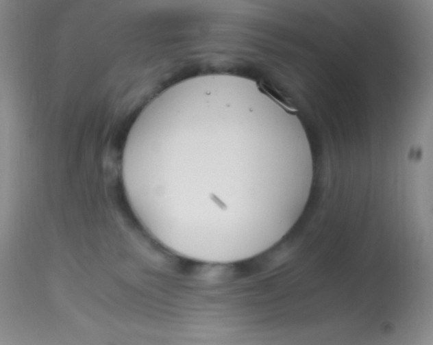 X0000112900135200909181945