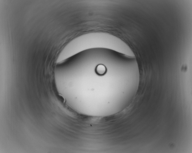 X0000112900136200909181945