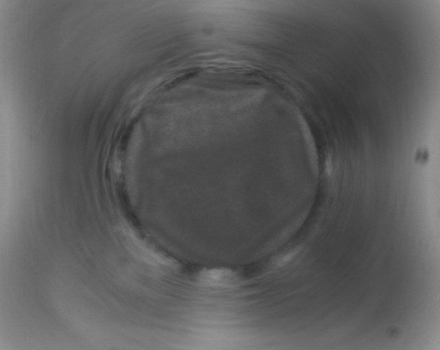 X0000112900137200909181945