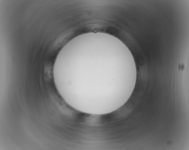 X0000112900138200909181945