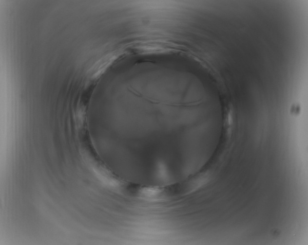 X0000112900139200909181945