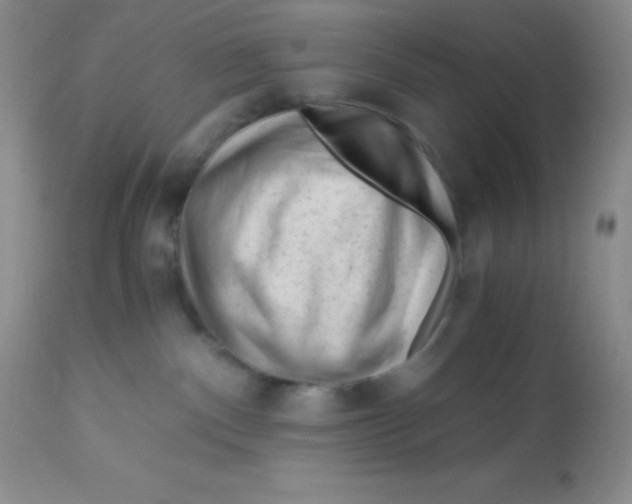 X0000112900140200909181945