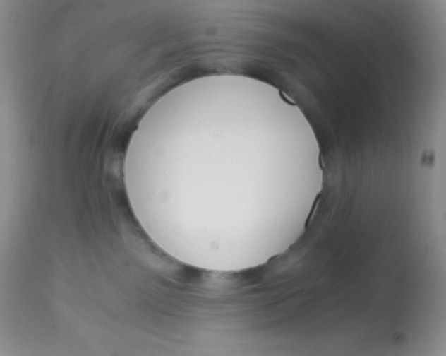 X0000112900141200909181945