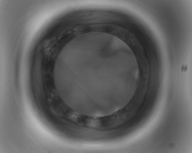 X0000112900143200909181945