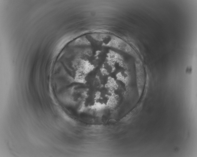 X0000112900145200909181944