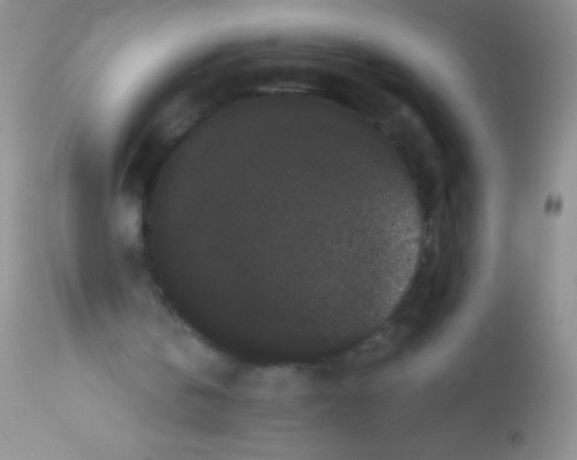 X0000112900146200909181944
