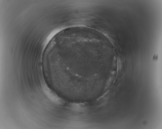X0000112900147200909181944