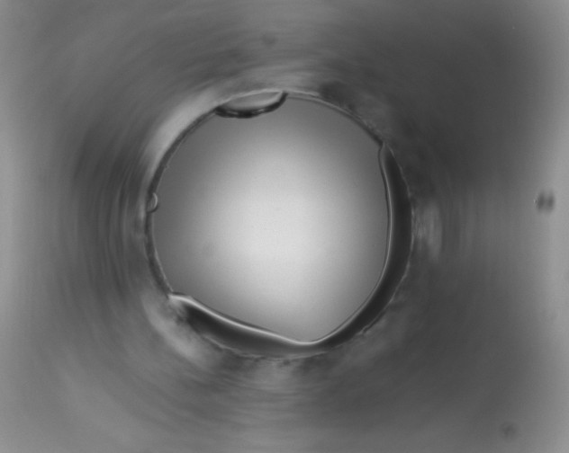 X0000112900148200909181944