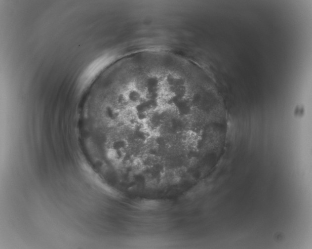 X0000112900149200909181944
