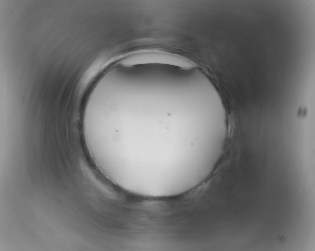 X0000112900150200909181944