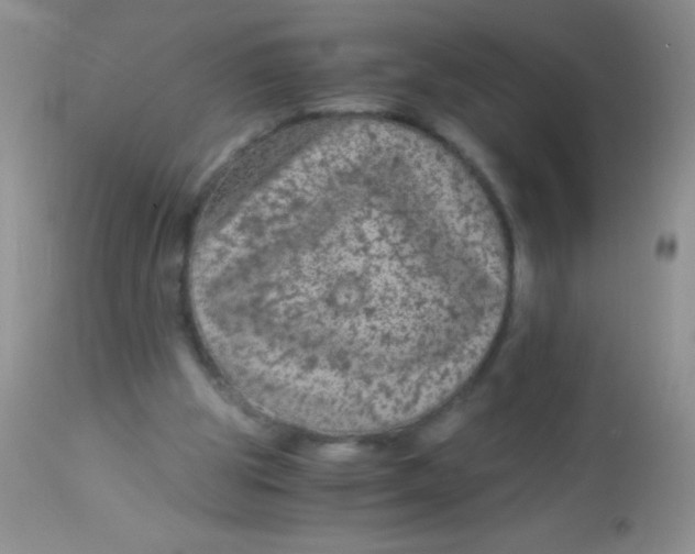 X0000112900153200909181944