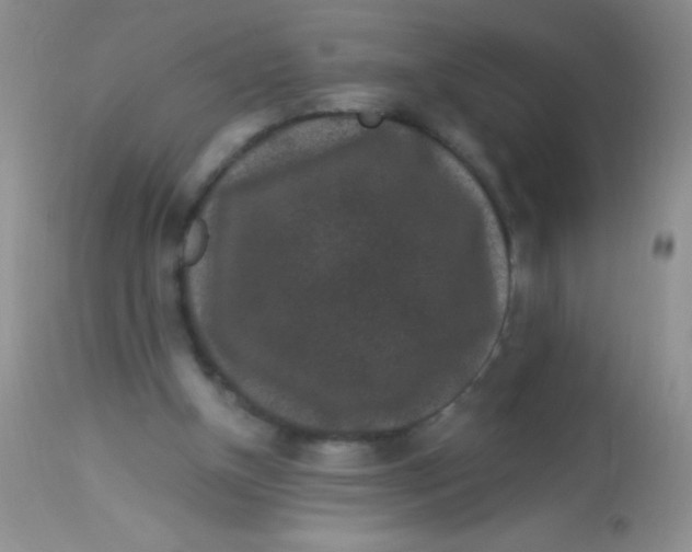 X0000112900154200909181944