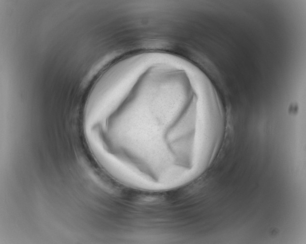 X0000112900155200909181944