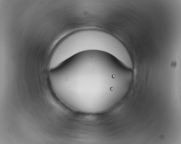 X0000112900156200909181944