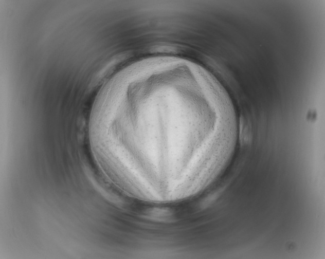 X0000112900157200909181944