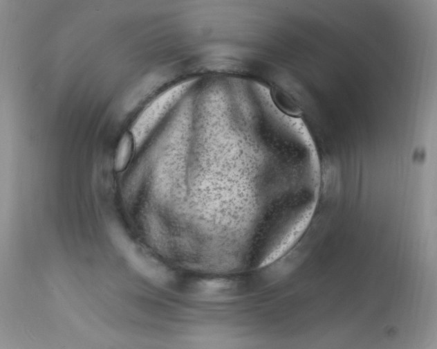 X0000112900158200909181944