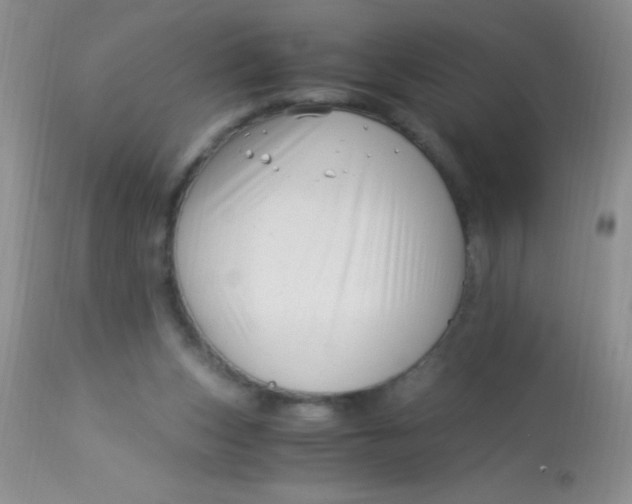 X0000112900159200909181944