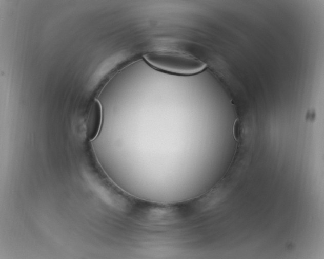 X0000112900160200909181944