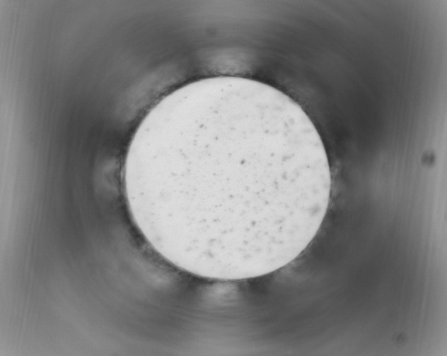 X0000112900162200909181944