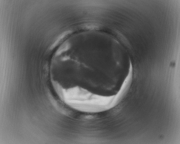 X0000112900163200909181944