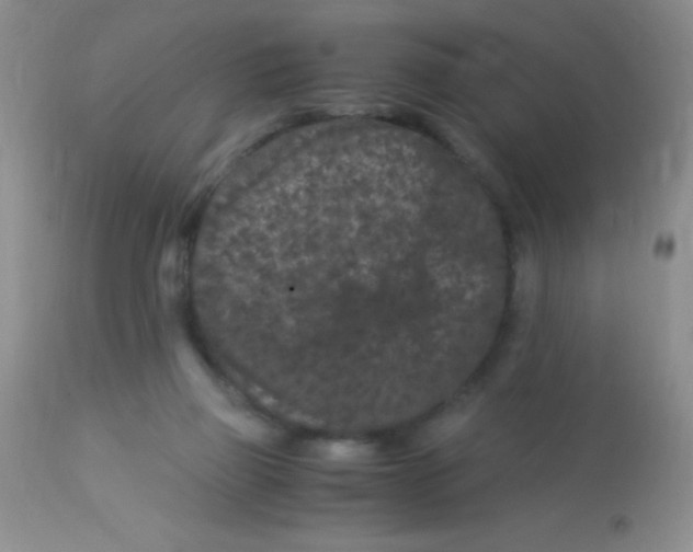 X0000112900165200909181944
