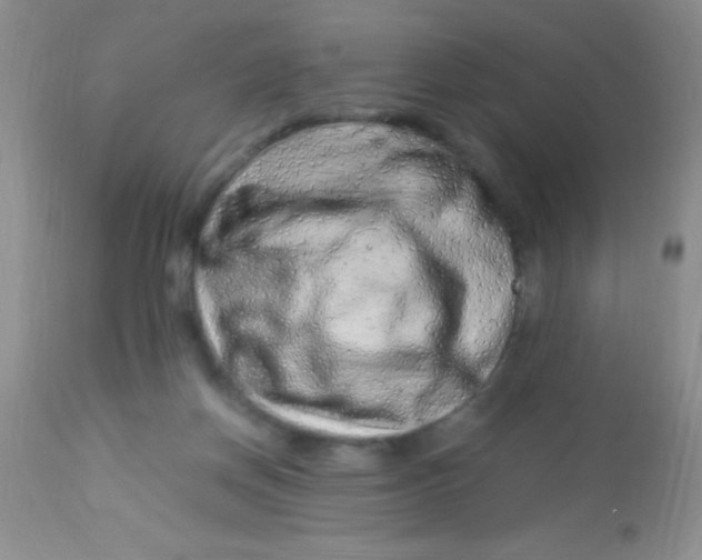 X0000112900166200909181944