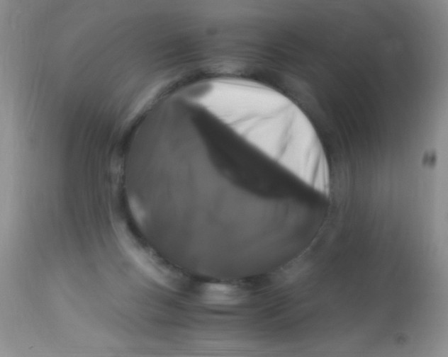 X0000112900167200909181944