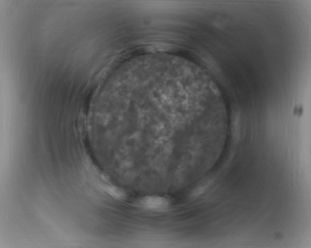 X0000112900169200909181944