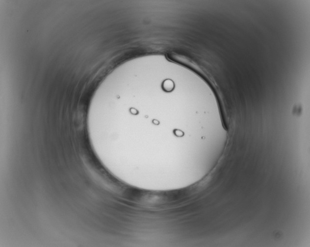 X0000112900174200909181944