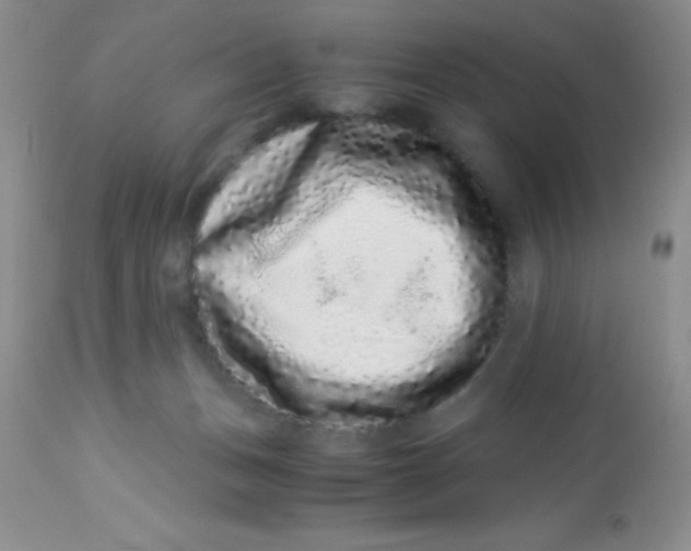 X0000112900175200909181944