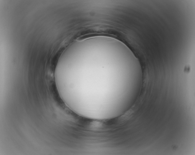X0000112900176200909181944
