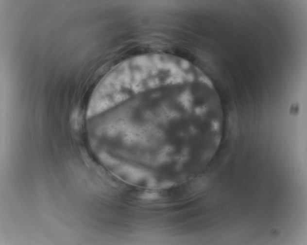 X0000112900177200909181944