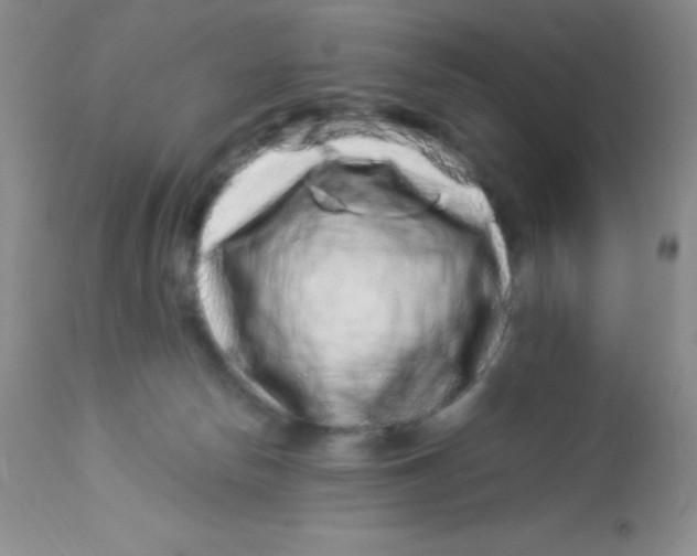 X0000112900178200909181944