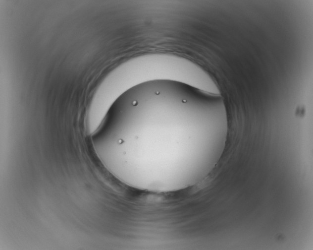 X0000112900180200909181944