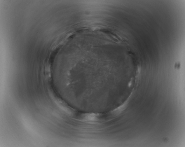 X0000112900182200909181944