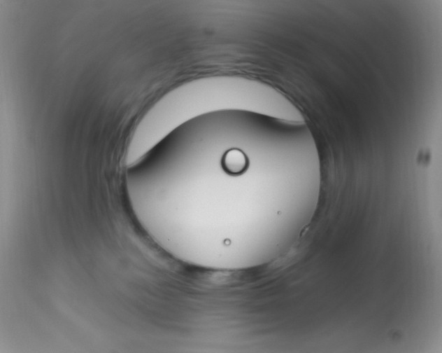X0000112900184200909181944