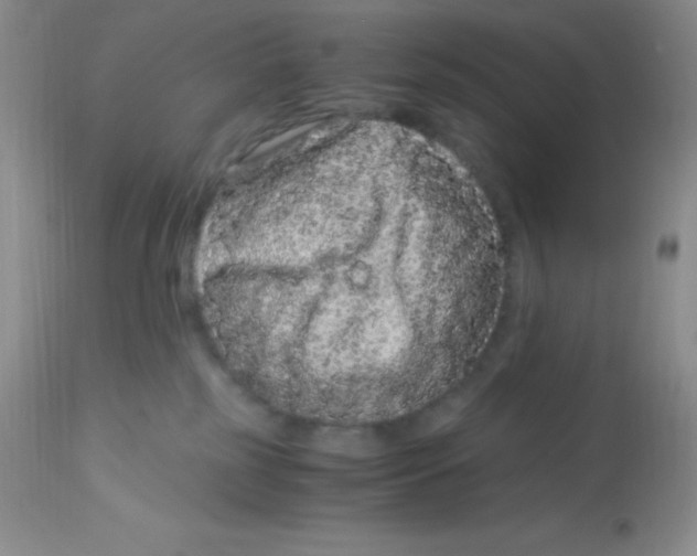 X0000112900185200909181944