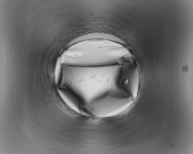 X0000112900186200909181944