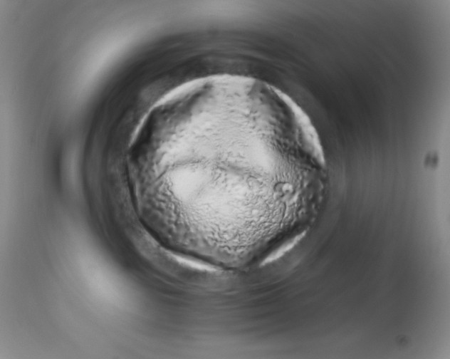 X0000112900189200909181944