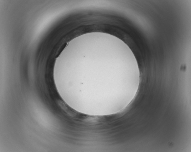 X0000112900190200909181944