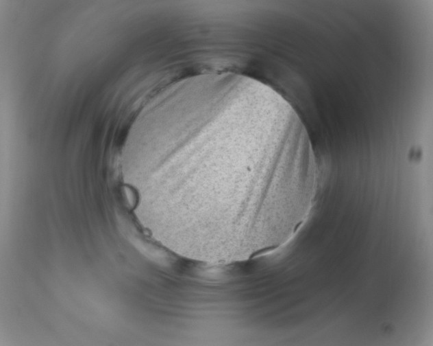 X0000112900191200909181944