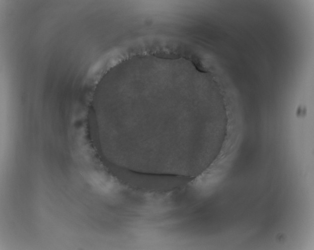 X0000112900192200909181944