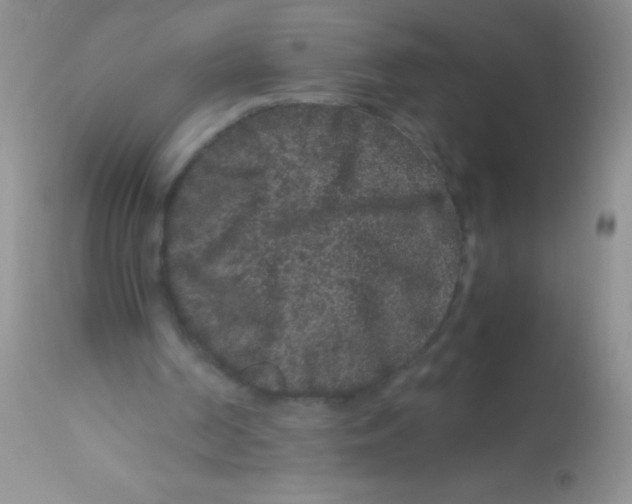 X0000112900194200909181944