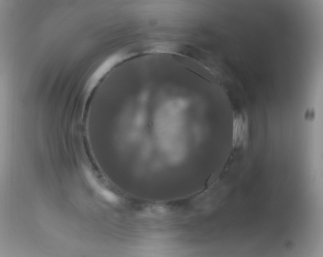 X0000112900195200909181944