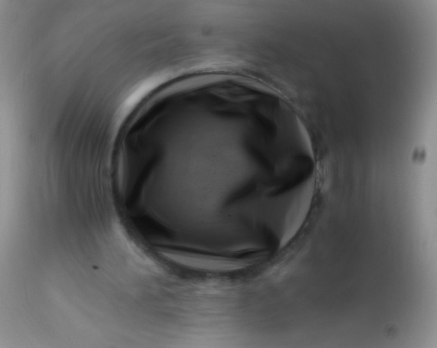 X0000112900196200909181944