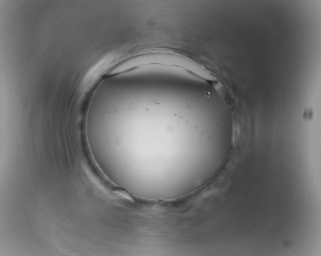 X0000112900197200909181944