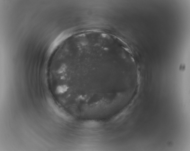 X0000112900198200909181944