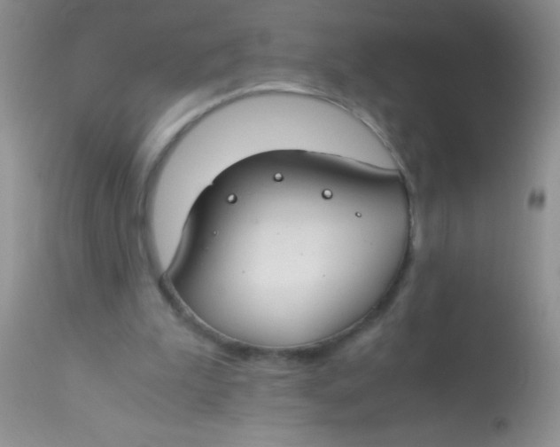 X0000112900199200909181944