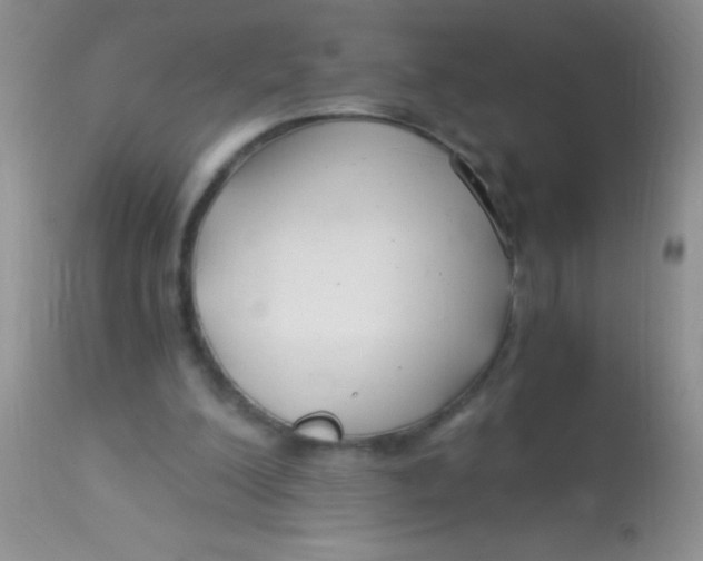 X0000112900200200909181944